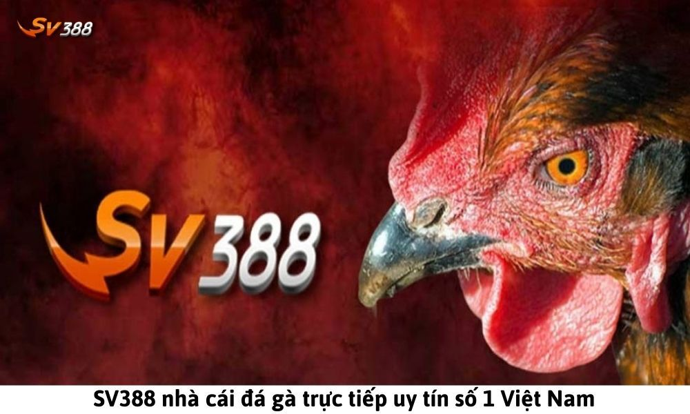 SV388 hoạt động hợp phát, đảm bảo uy tín cho người chơi tại Việt Nam