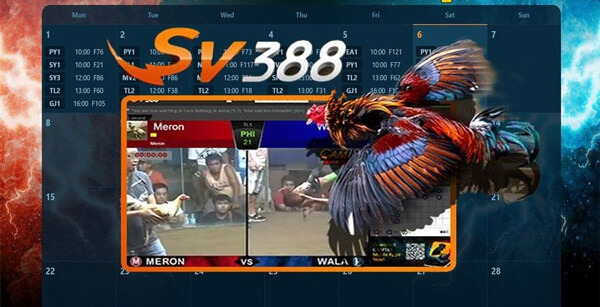 Đăng nhập SV388 an toàn, uy tín để chơi cá cược đá gà online