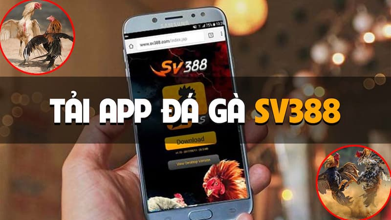 Tải app nhà cái SV388 là cách đăng nhập không lo bị chặn