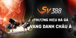 đá gà thomo tại sv388