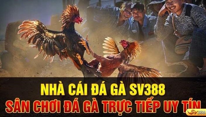 Anh em có thể nạp không giới hạn tại nhà cái đá gà SV388 