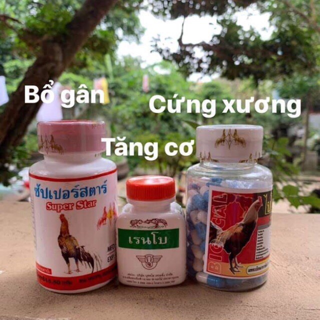 Nên chọn mua các loại thuốc tăng cơ, chắc xương cho gà đá